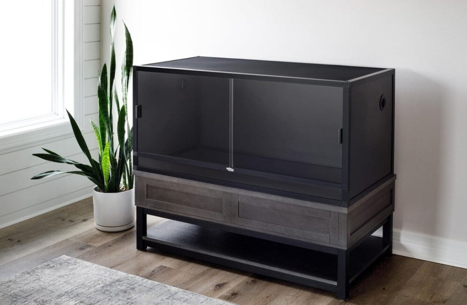 Past lorem ipsum served the same