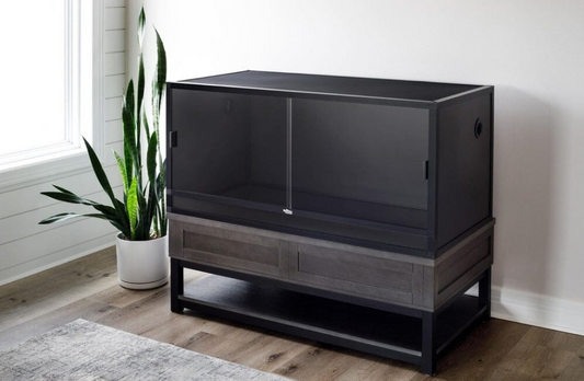 Past lorem ipsum served the same